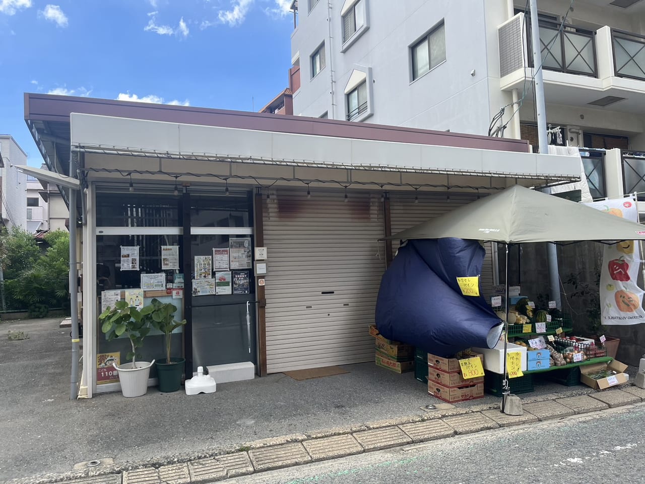 しおらぼ　夏休み自由研究ワークショップ