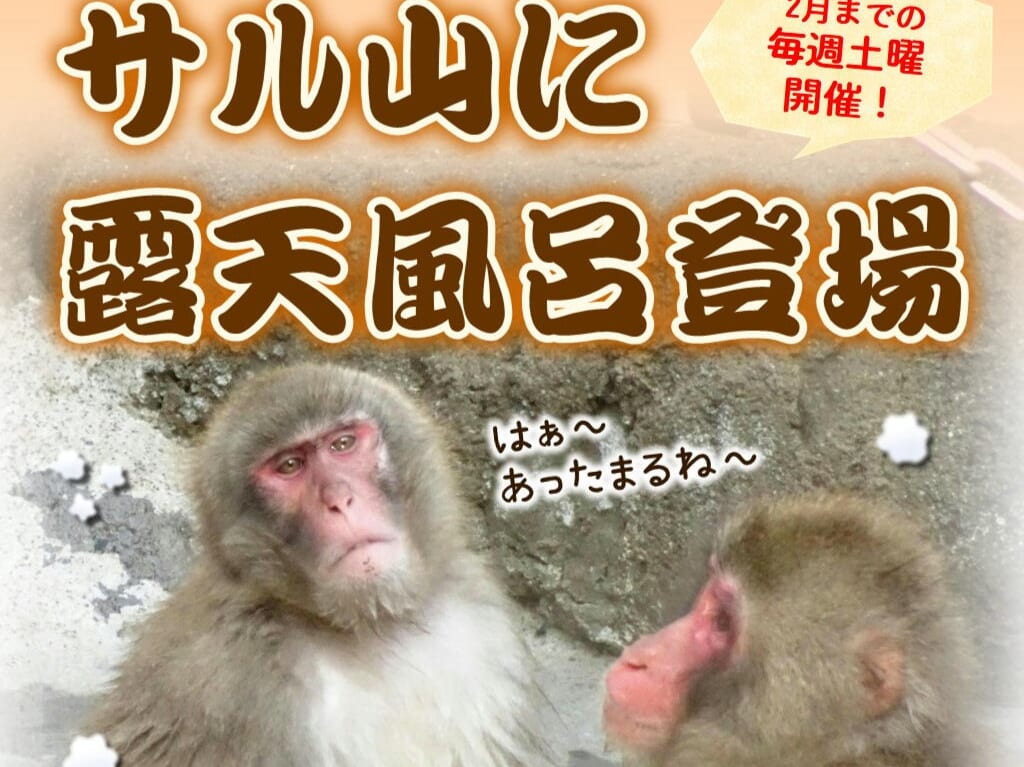 福岡市動物園サル山露天風呂