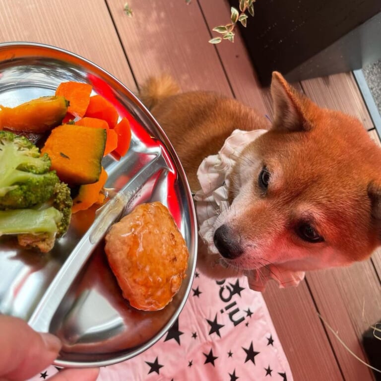 ニコカフェ井尻