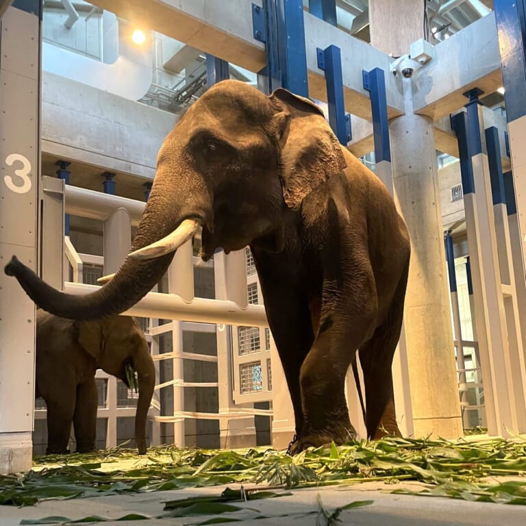 福岡市動物園