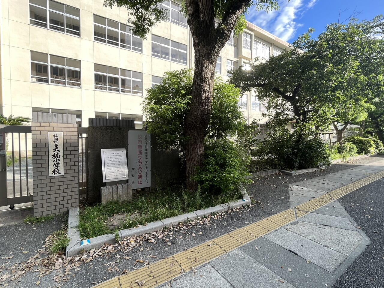 大楠小学校