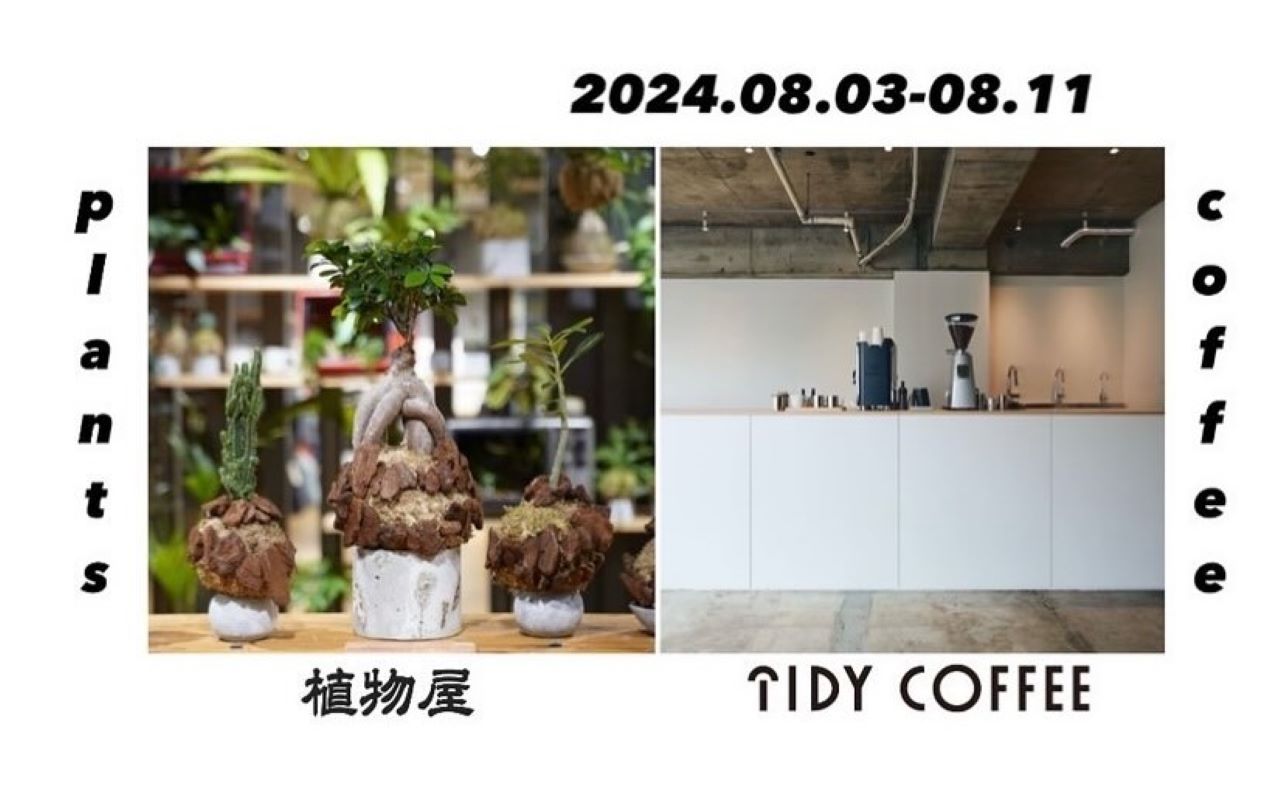 TIDY COFFEE　植物屋　POPUPショップ