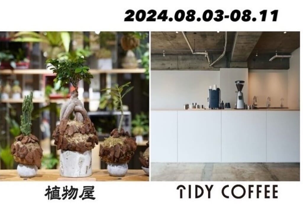 TIDY COFFEE　植物屋　POPUPショップ