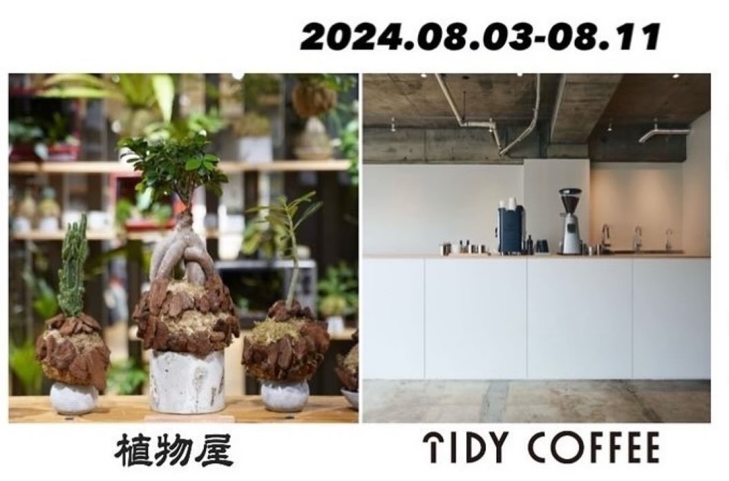 TIDY COFFEE　植物屋　POPUPショップ