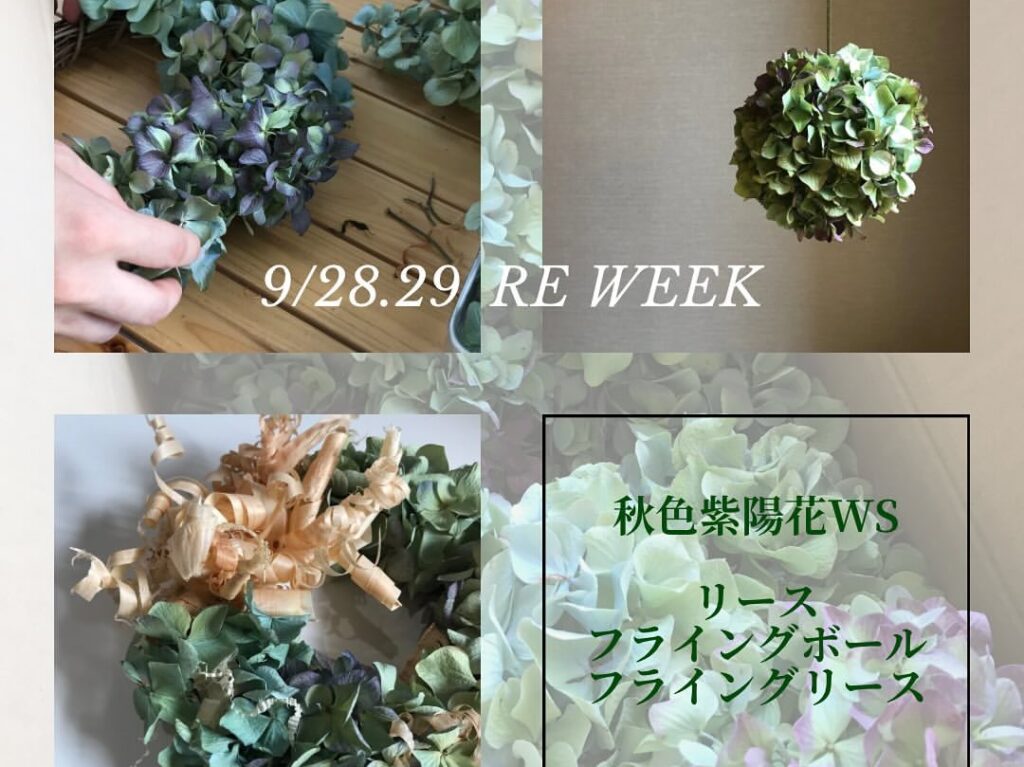 2024年9月のRE week　秋色紫陽花ワークショップ