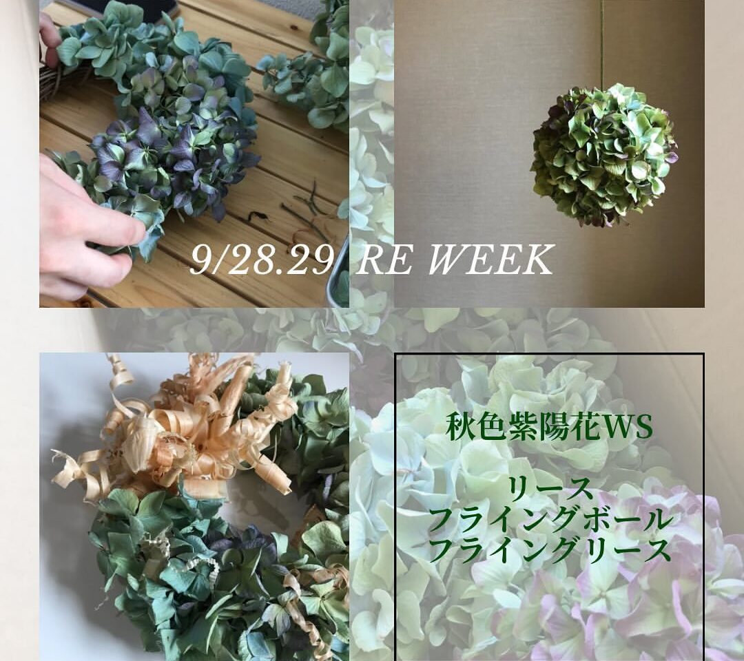 2024年9月のRE week　秋色紫陽花ワークショップ