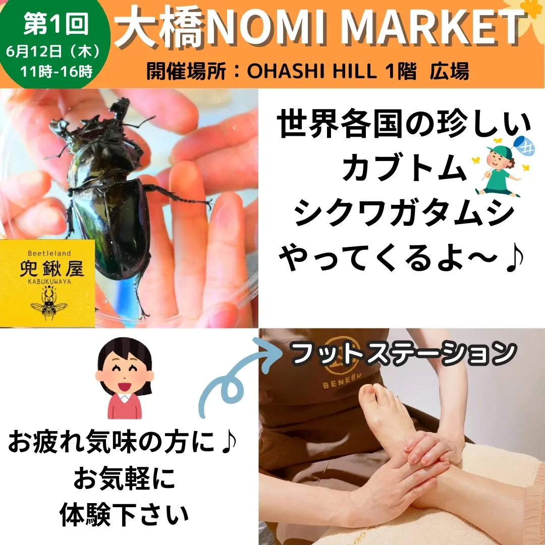 大橋NOMI-MARKET