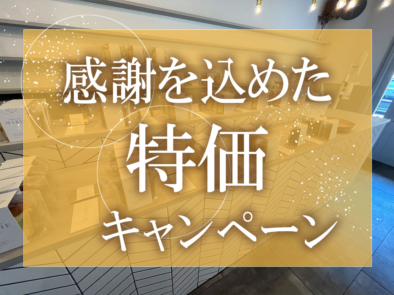 感謝を込めた特価キャンペーン