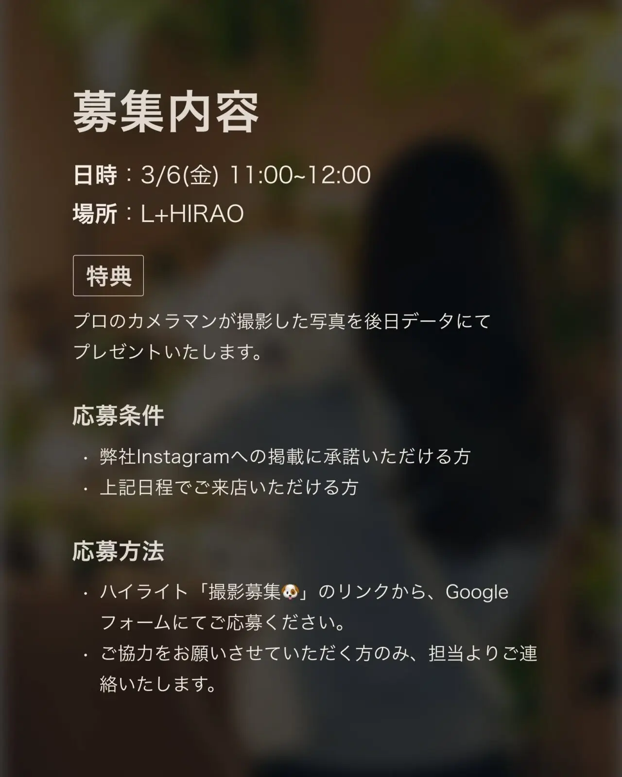 エルプラスヒラオ ワンちゃんモデル募集