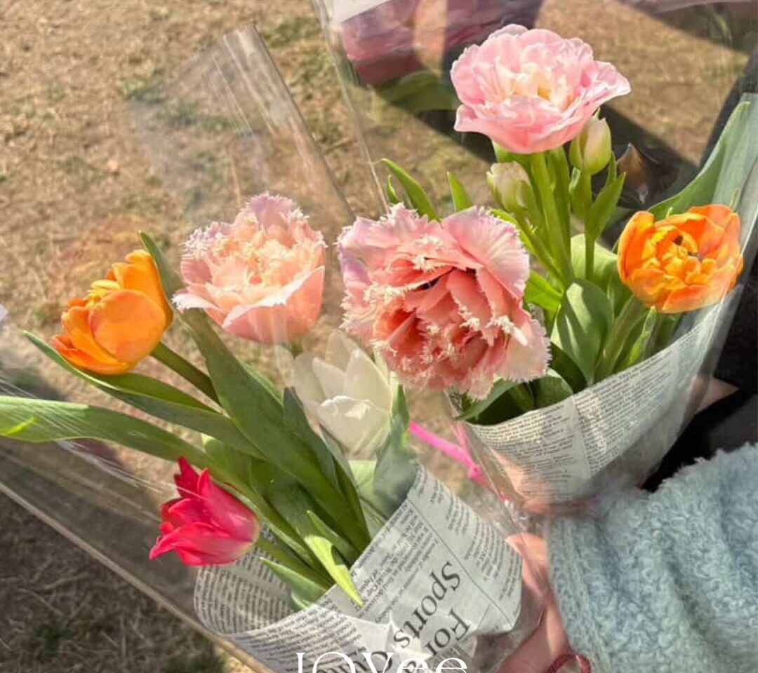 Niwa Fukuoka　POPUPショップ