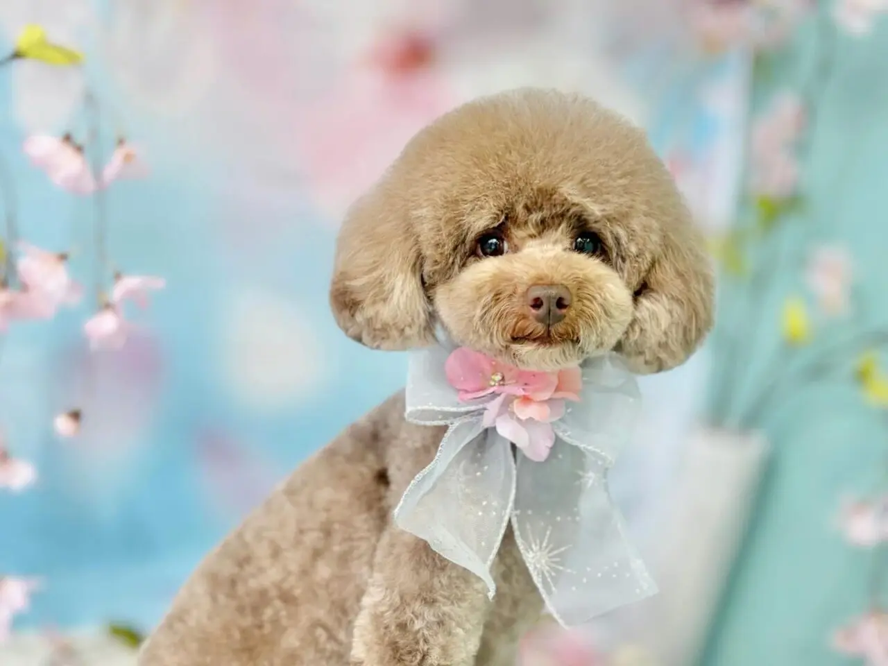 ワンルーク福岡南区店