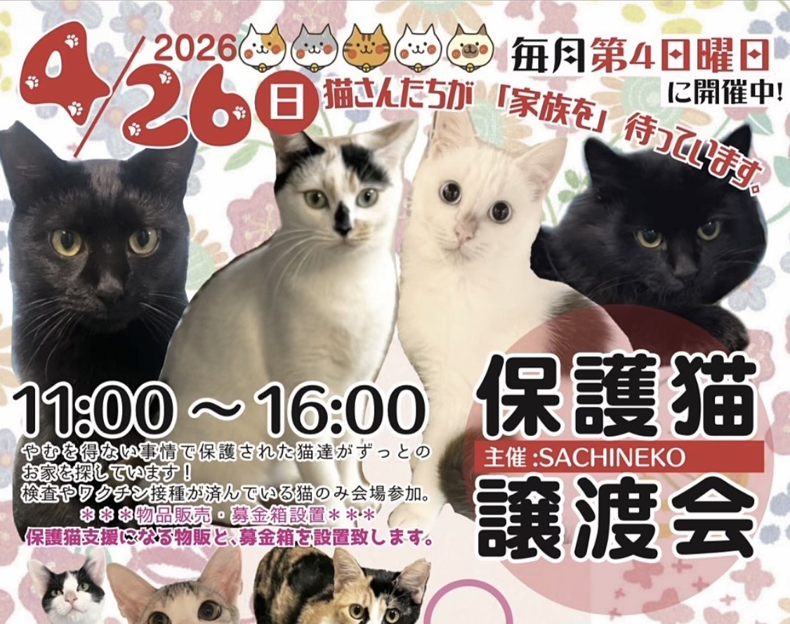 保護猫譲渡会